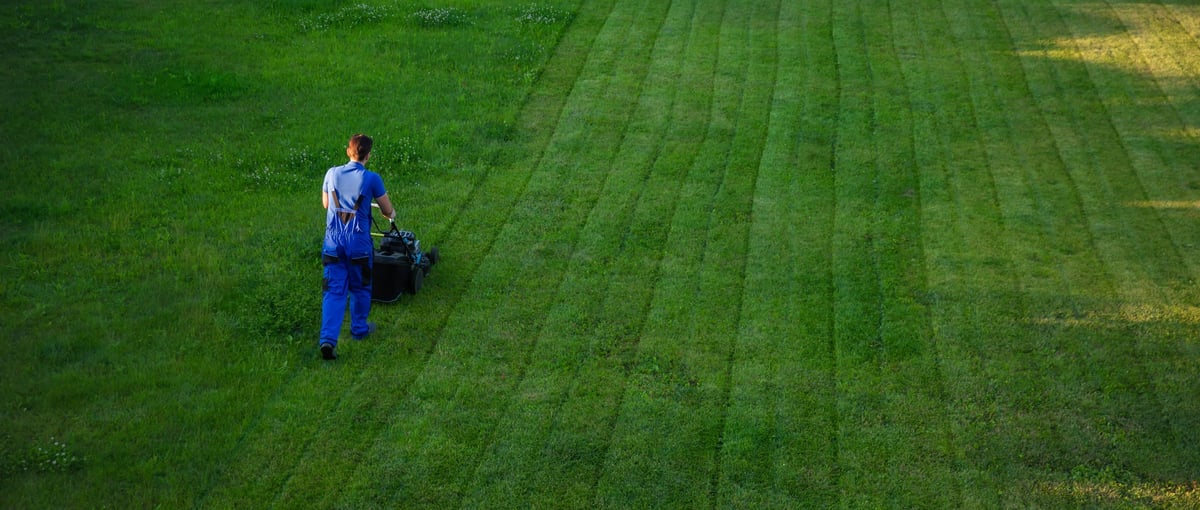 Professional lawn mowing service with neat parallel lines in green grass